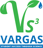 vargas logo